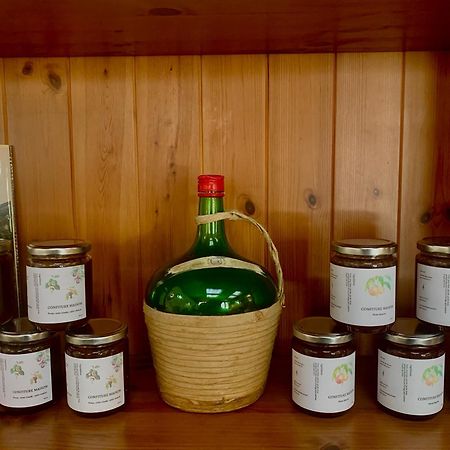 Auberge Lou Jas Soleilhas المظهر الخارجي الصورة